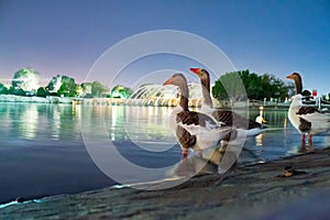 The park in Aspire zone in Doha Qatar