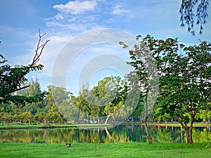 Park atmosphere, shady Good for traveling