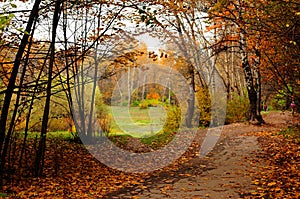 Park in autumn colors