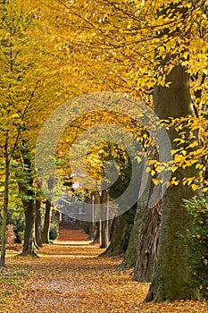 Park in autumn, Karlsruhe, Germany