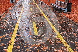 Park in Autumn Rain