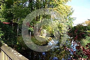 Park in Autumn in the Town Bad Bevensen, Lower Saxony