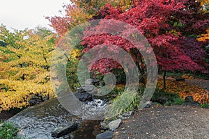 Park in beautiful autumn colors