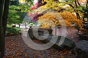 Park in beautiful autumn colors