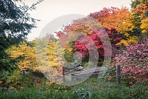 Park in beautiful autumn colors