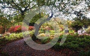 Park in beautiful autumn colors