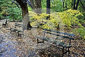 Park bench photo