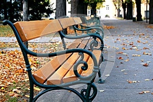 Park bench photo