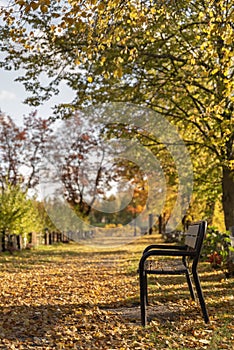 Park bench