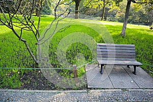 Park bench in amazing green park photo