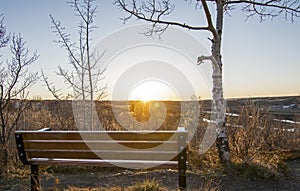 Park Bench and Aspen Trees at Sunset in Calgary, Alberta, ,Canada