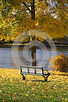 Park bench in autumn