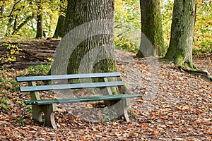 Park bench in autumn forest