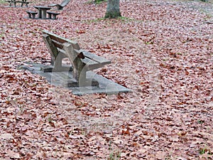 Park bench in autumn walk dry leaves fallen to the ground cold sadness photo