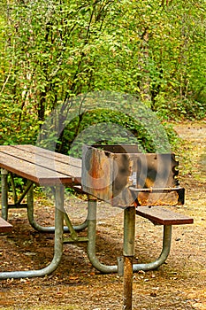 Park bench and barbaque sitting unused along the edge of a fores