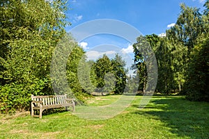 Park Bench in Beautiful Lush Green Garden