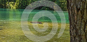 Park bench in flooded mountain lake after thaw