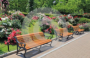 Park bench flower garden