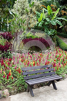 Park bench in garden