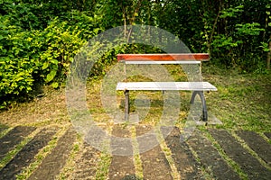 Park Bench in garden