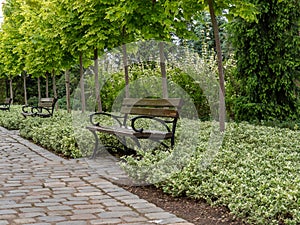 Park bench, garden decoration, a fragment of the park