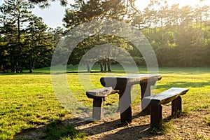 Park bench in a gorgeous autumn forest