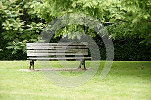 Park Bench with Green Grass