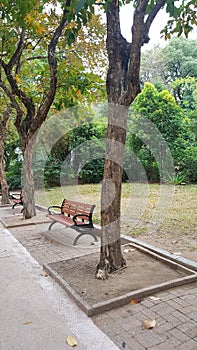 A park bench in kowloon  park hong kong