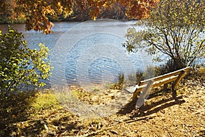 Park bench by a lake