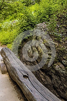 Park bench made of long cut log under shade tree