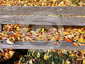 Park bench made of simple boards full of autumn leaves 3