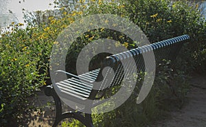 Park Bench at Madrona Marsh Preserve, Torrance, California