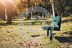 Park, bench and open with space with trees, mock up and summer for sunshine, relax and rest in nature. Forest, woods and