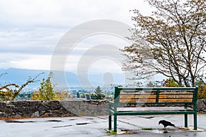 Park bench overlooking downtown Vancouver