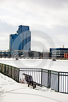 Park Bench overlooking the Grand River