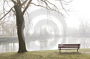 Park bench overlooks misty lake