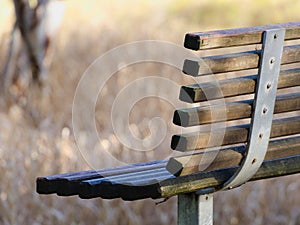 Park bench overlooks a section of flooded wetland