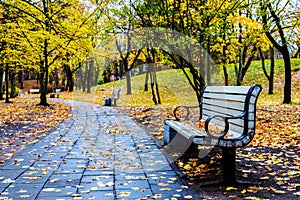 Park bench