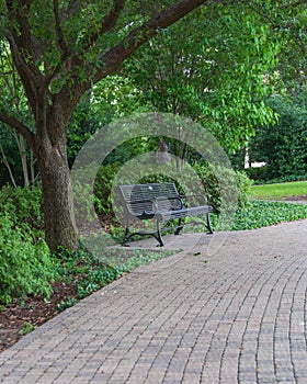 Park Bench and Pavestone Walkway