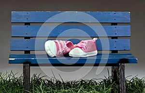 Park Bench Pink Shoes.