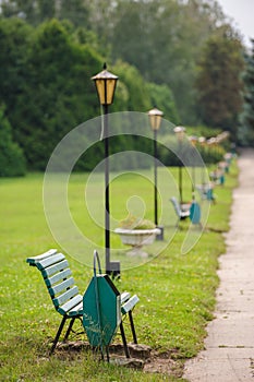 Park bench in row, selective focus on first
