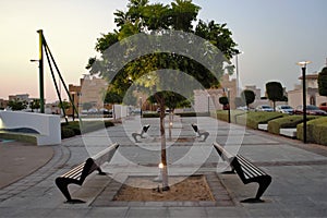 Park bench rows, spot light on trees
