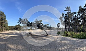 Park bench at the Sahara Ommen