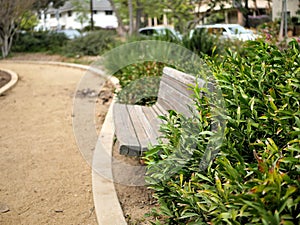 Park bench in a Santa Barbara, California botanical garden with paths and plants