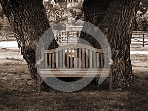 Park bench in sepia