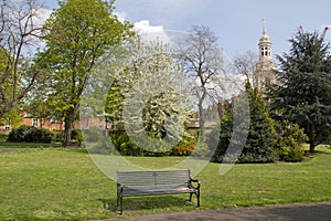 Park bench in spring with Church in background, Greenwich, England