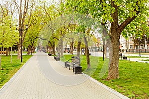 Park bench spring urban landscape recreation