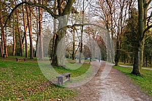 Park bench on a sunny spring morning. Morning walk. Healthy lifestyle.