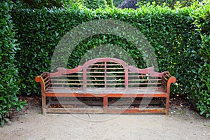 Park bench in topiary garden