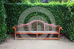 Park bench in topiary garden photo
